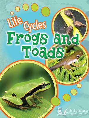 cover image of Frogs and Toads